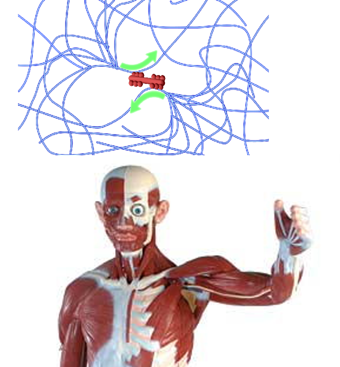 図3